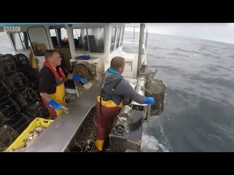 Cornwall This Fishing Life Season 2 Episode 4