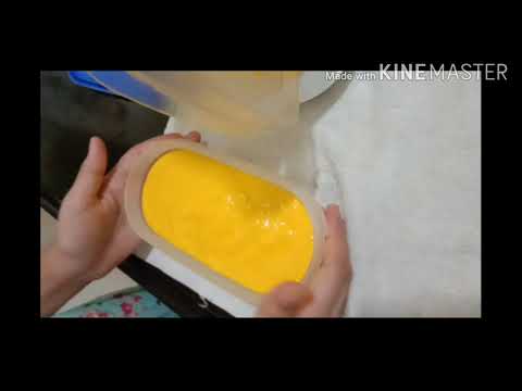 Dhriti's Diary present Mango Icecream