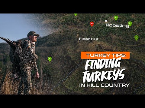 How To Find Turkeys In Hill Country -Hunting Tips & Tactics-