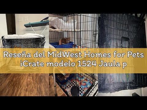 MidWest Homes for Pets 24-Inch iCrate for Small Breeds, 12-20 lbs, Single Door Folding Dog Crate with Divider Panel, Leak-Proof Tray & Secure Latch, Portable, Durable & Easy to Assemble video review thumbnail
