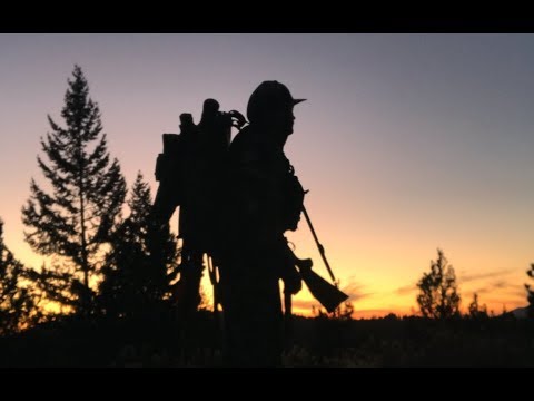 SOLO MULE DEER HUNT ON PUBLIC LAND