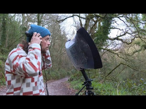 The man on a mission to record the sound of every bird species in Ireland | AFP
