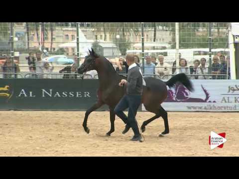 Menton 2016 - Class 6b