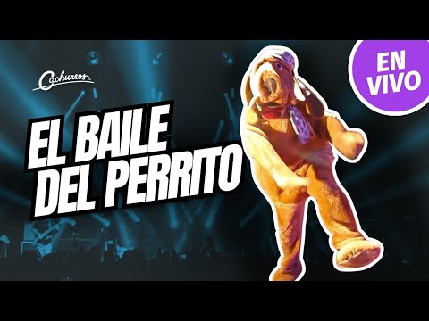 El Baile del Perrito de Cachureos, en Vivo por Chile desde Angol, Florida y Renaico