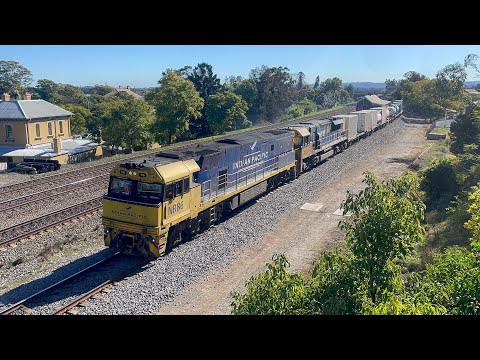 Pacific National NR86 (Mk4 Indian Pacific) & TT111 with 2BS4 at East Maitland - 11/7/23