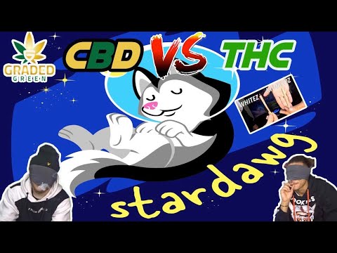CBD STARDAWG VS STARDAWG REVIEW | SPACEBOYZ | GRADED GREEN
