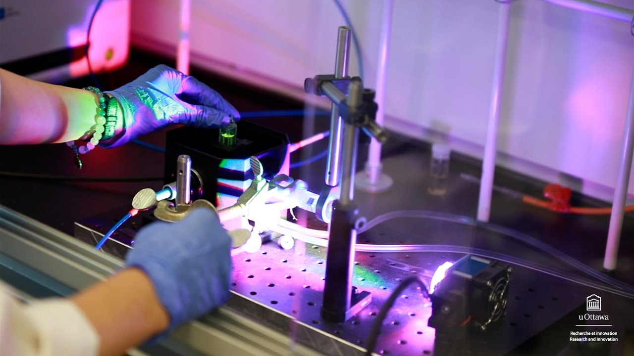 Profile banner for webasset 39_5