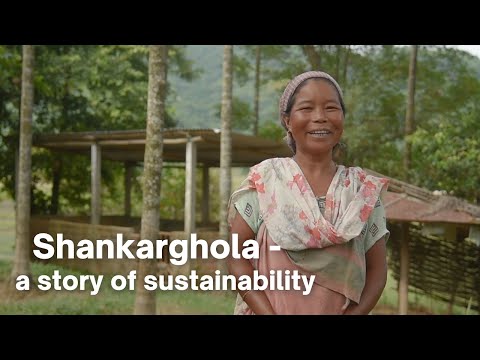 Shankarghola - A Story of Sustainability | NABARD | SeSTA