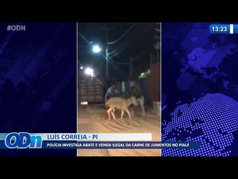 PoliÌcia investiga abate e venda ilegal de carne de jumentos no PiauiÌ 25 08 2021