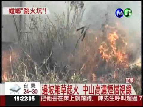 草叢失火了! 螳螂逃命急到"擦汗"