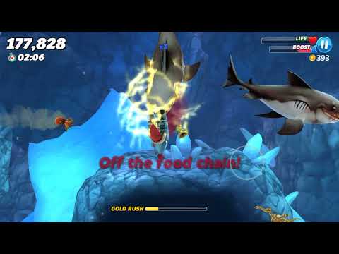 M Sharks Live Contest (thresher shark) Further Swum - Hungry Shark World