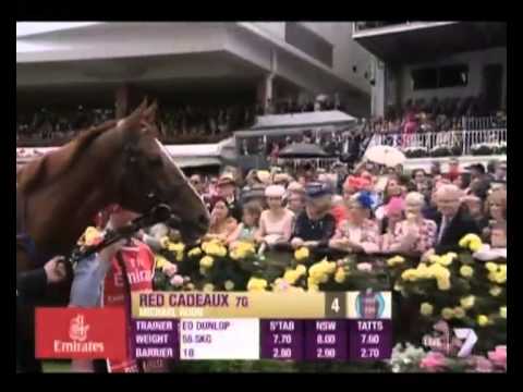 Racing360 - Japan Cup