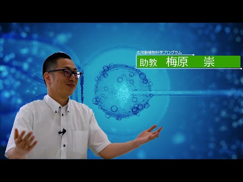広島大学生物生産学部　教授に聞く　梅原 崇助教