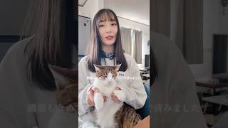 猫の自動トイレを導入しました！！めちゃくちゃ便利🤞 #shorts #自動トイレ猫 #商品紹介