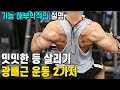 밋밋한 등 살리기 광배근 등 운동 2가지 / 기능 해부학적인 설명 포함(feat.운동연구가 성훈)