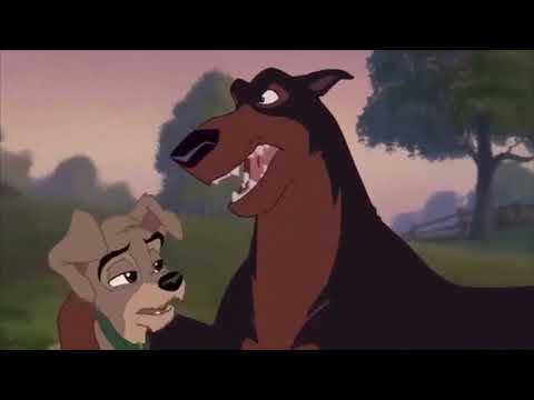 An Animal's Life Part 26 - Battle Stations