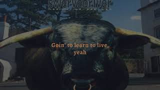 Swervedriver - Duel (Remastered) (Lyric Video)