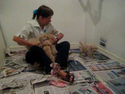 Maricarmen y cachorros!