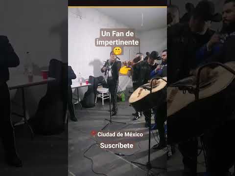 Ahora es cuando | Mariachis en CDMX #mariachisencdmxmjv