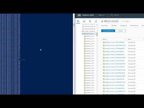 Customer: Allegis Group -  Software Testing using vSphere Integrated Containers and Selenium
