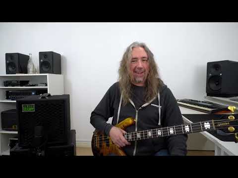 Trace Elliot Elf 1x10 Bass Combo #traceelliot #danveall