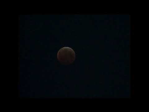 Super Blood Wolf Moon 2019 timelapse