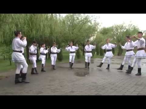 Ansamblul BUJORII ZAULUI - Suită 1