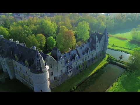 CHÂTEAU DE FALLAIS - BRAIVES