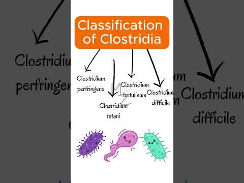 Classification of clostridia #clostridium #bacteriology