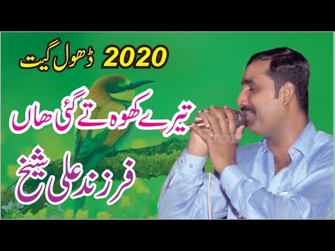 Farzand Ali Sheikh | Haroon | 2020 dhol geet | tare khoh te gayi han | new program