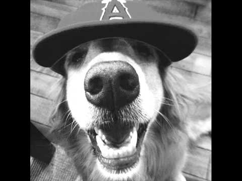 Big Dunn-Rap doG (Eminem Rap God Cover)