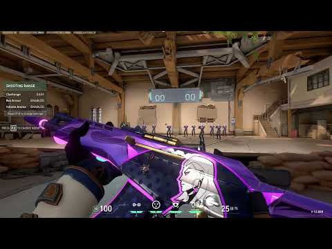 *Gameplay!💜TEAM ACE VALORANT BUNDLE WORTH IT?? #newbundlevalorant