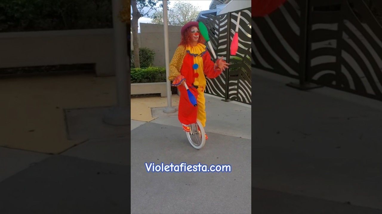 Promotional video thumbnail 12 for Violetafiesta