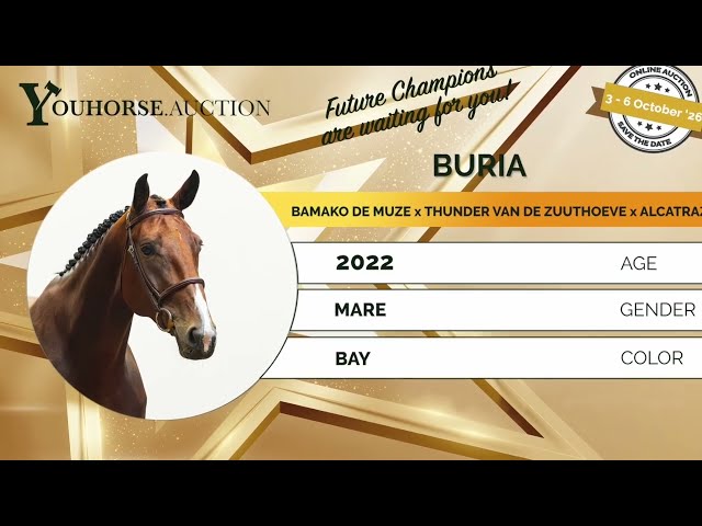 Buria trainingsvideo
