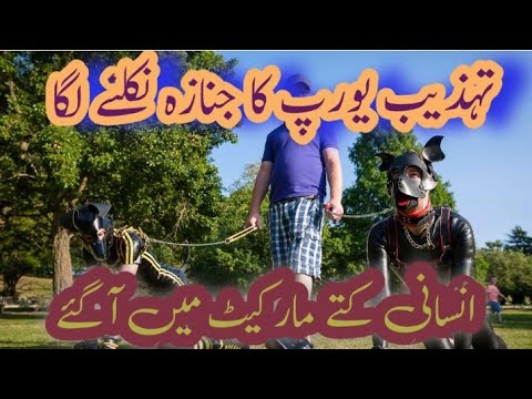 human dogs | human dog | in europe | by mufti sarwar islami