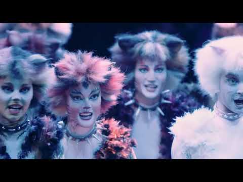 Cats Vienna 2019 - Bombalurina, Demeter, and Cassandra