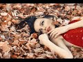 VENTURES Lullaby of the leaves