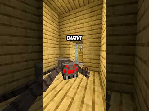 pająk w domu #śmieszne #minecraft #pająk #żarty #memy #zabawne #polska