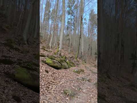 Forest Walk to Castle Schöneck | Silent Walking Tour 4K | Medieval Castle in Alsace