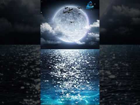 moon light sea water live wallpaper 4k| ocean  moon shine animated wallpaper| royalty free music