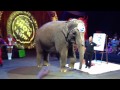 Ringling Bros Elephant Painting A Picture Orlando 1 12 12
