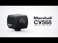 CV568 Global Genlock Camera with 3GSDI/HDMI - OVERVIEW
