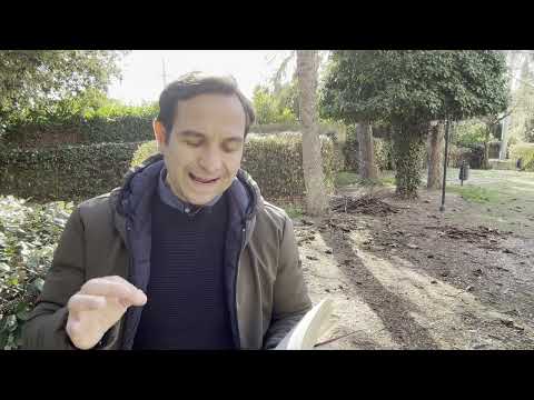 Padre Pio: quem não reza não precisa do diabo para se condenar, vai ao inferno pelas próprias pernas