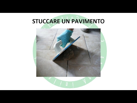 Ciò P del rachide cervicale Diarrea, mal di schiena durante la gravidanza