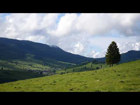 [Video Footage] Mountain View P2 - Răchitiș. Bacău, Transilvania, România