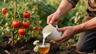 Stop buying expensive fertilizer – try these 2 SIMPLE garden hacks instead