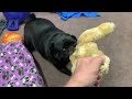 Barney First Night 12 05 2024