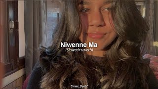Download lagu නිවෙන්නේ මා |Niwenne Ma (Slowed reverb) mp3 Download lagu නිවෙන්නේ මා |Niwenne Ma (Slowed reverb) mp3