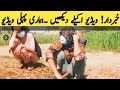 Beautiful Hot Village Vlogs Hot Vlogs Pakistan Hot Vlogs India Beautiful Village Girls