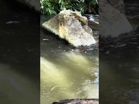 Gonçalves e suas riquezas naturais #minasgerais